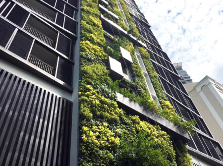 Garden Living Walls Services in Singapore